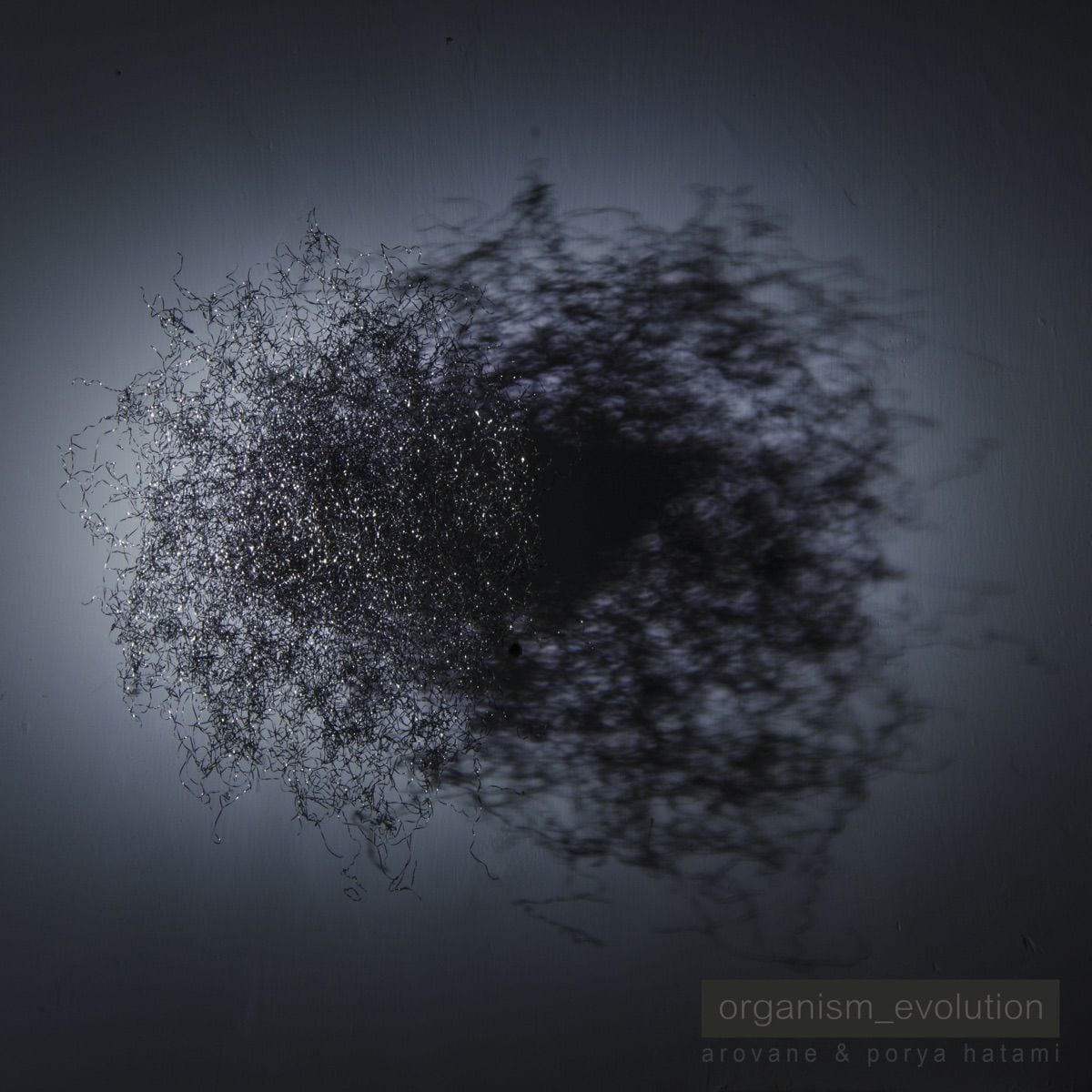 Organism_Evolution cover