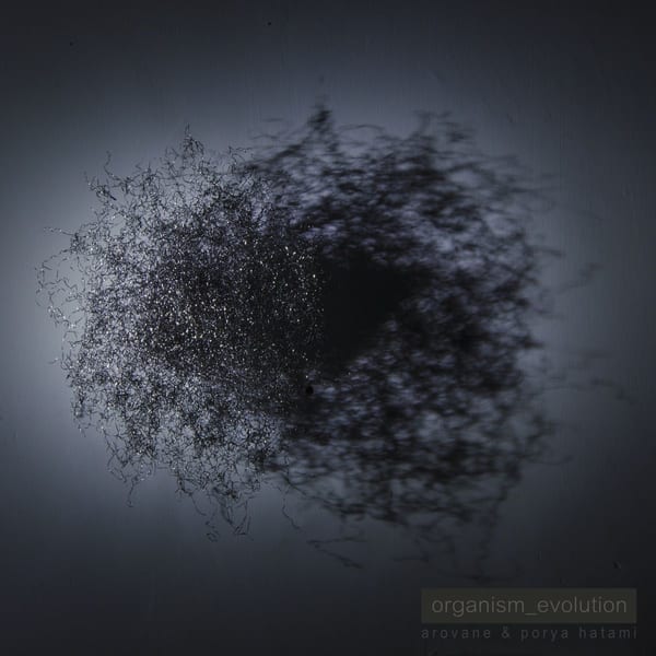 Organism_Evolution album cover