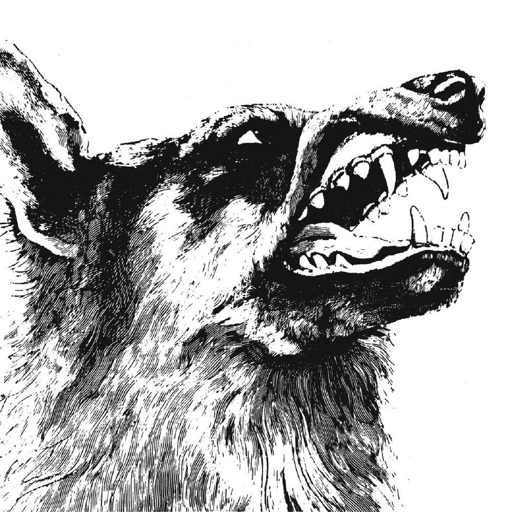 I, Vigilante cover