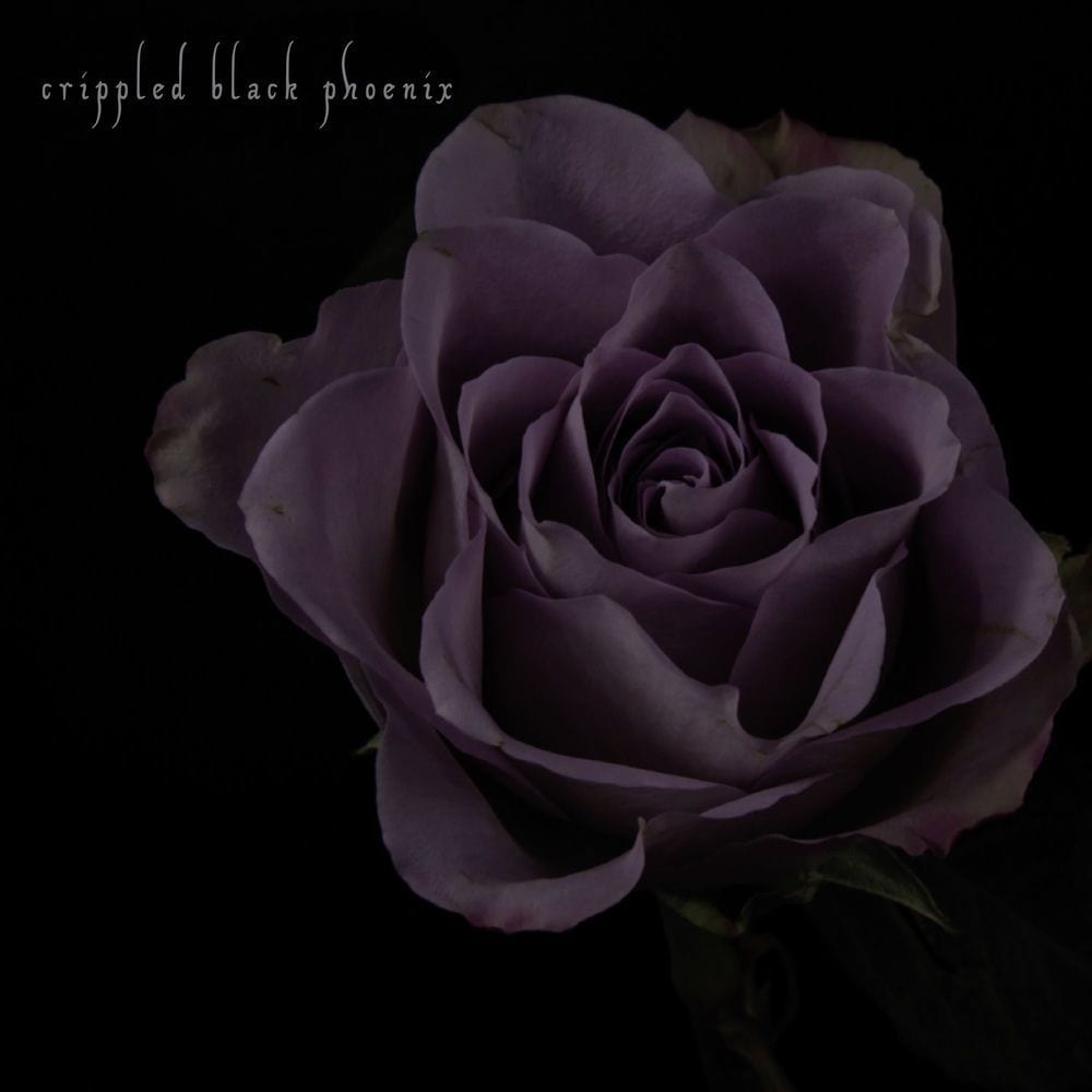 Painful Reminder cover