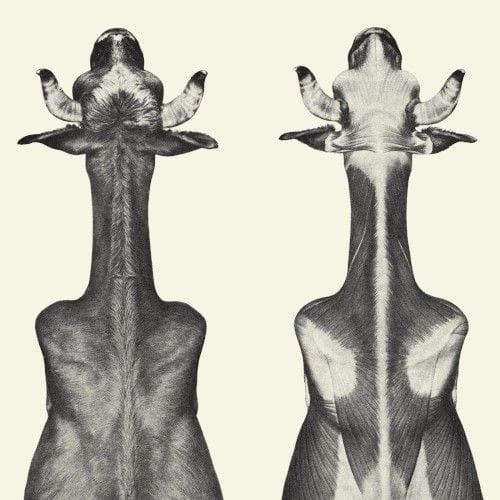 EP cover