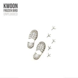 Frozen Bird (Unplugged) album cover