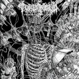 Primordial Malignity album cover