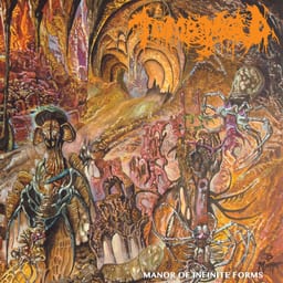 Manor of Infinite Forms album cover