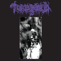 The Bottomless Perdition / The Moulting album cover