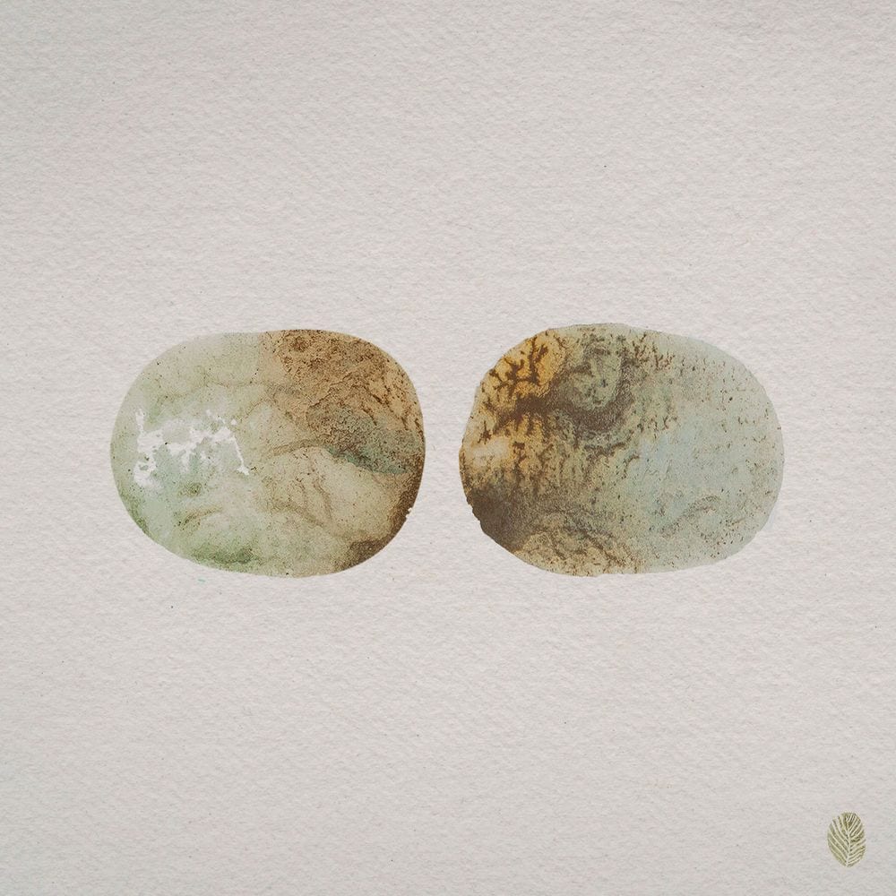 Hide To Seek (Regrown) cover