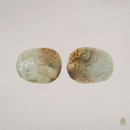 Hide To Seek (Regrown) album cover