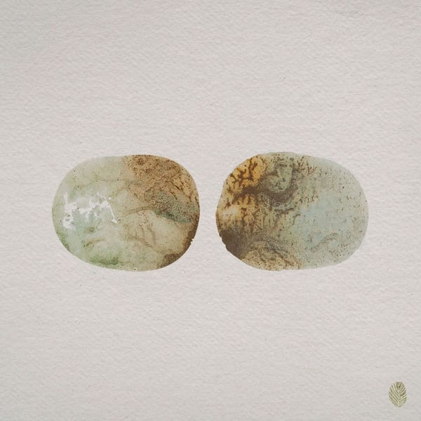 Hide To Seek (Regrown) album cover