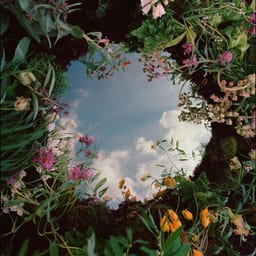 Portals album cover