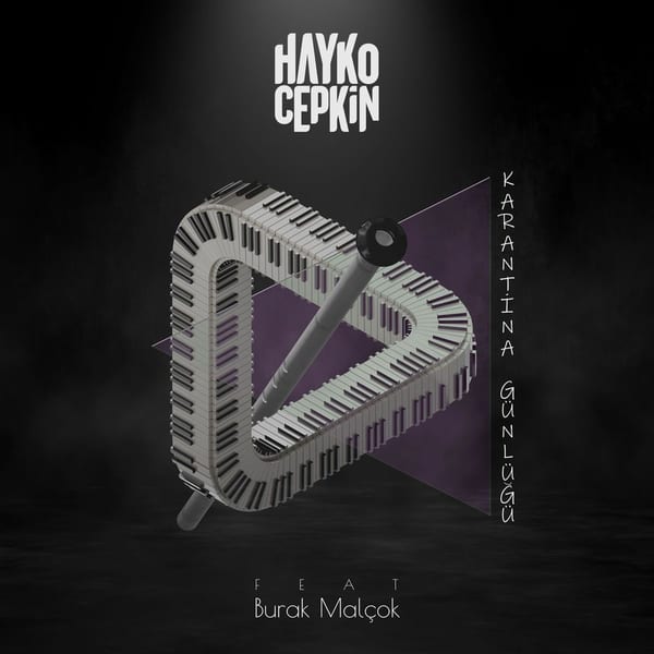 Karantina Günlüğü cover