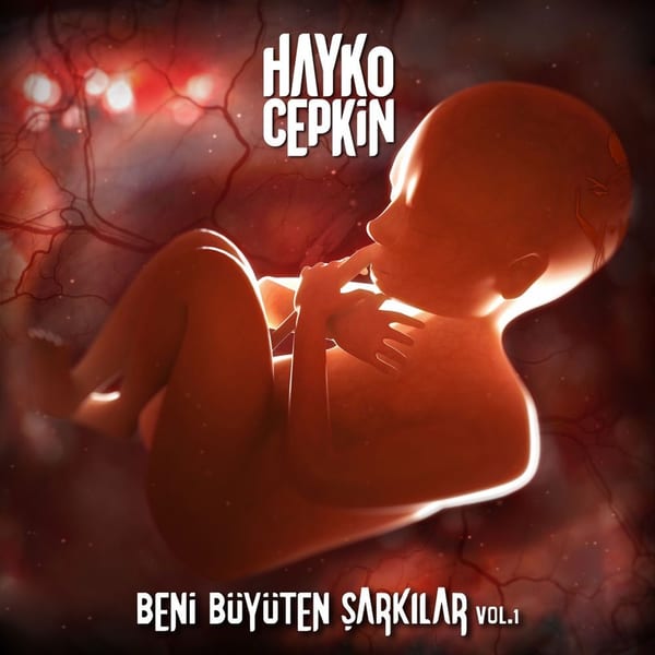 Beni Büyüten Şarkılar, Vol.1 cover