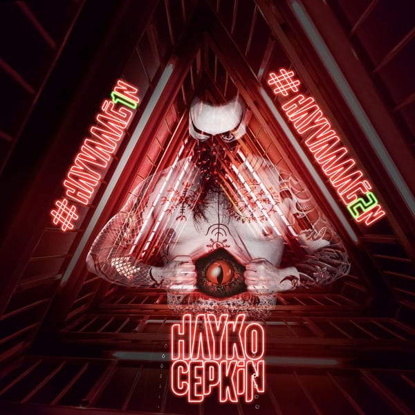 Hayvaaağ1n cover