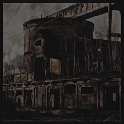 VI/ Klagopsalmer album cover