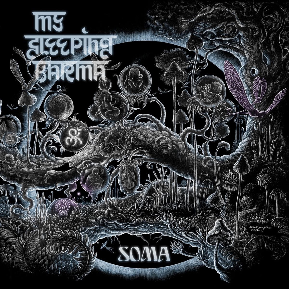 Soma cover