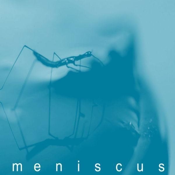 Absence of I cover