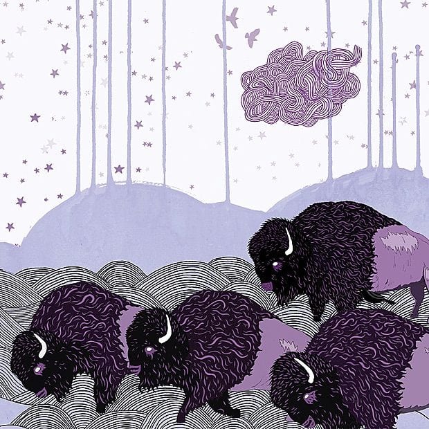 Plains of the Purple Buffalo cover