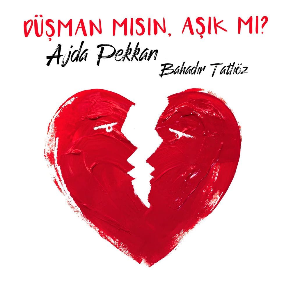 Düşman mısın Aşık mı? cover
