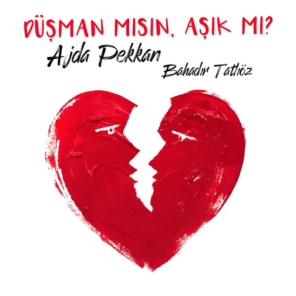 Düşman mısın Aşık mı? cover