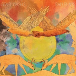 Israel Nash's Rain Plans album cover