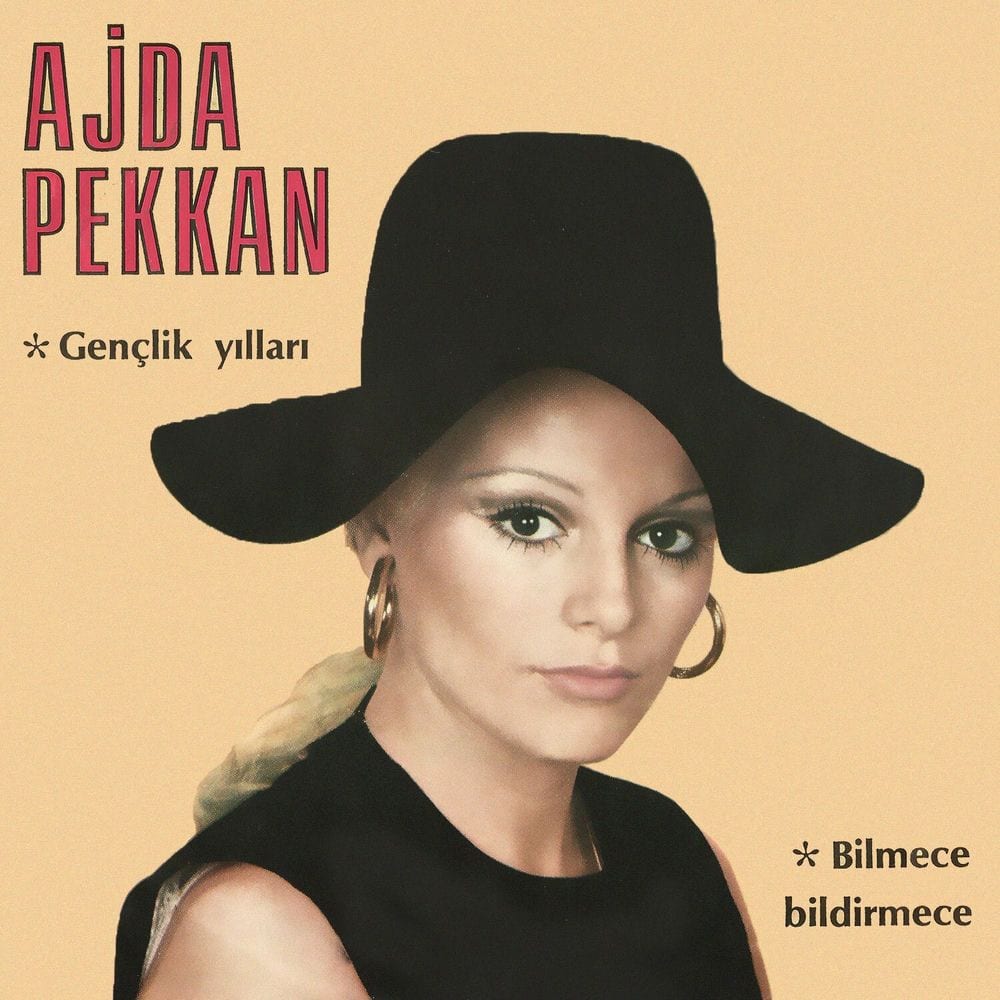 Gençlik Yılları - Bilmece Bildirmece cover