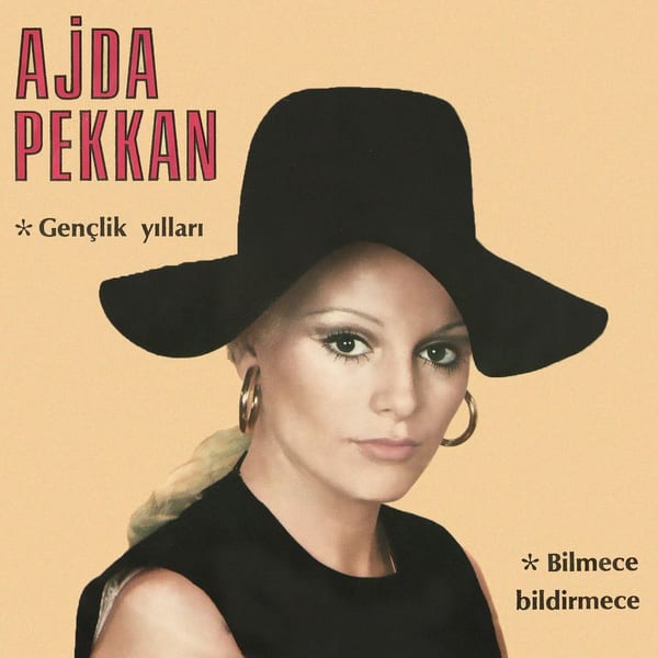 Gençlik Yılları - Bilmece Bildirmece cover