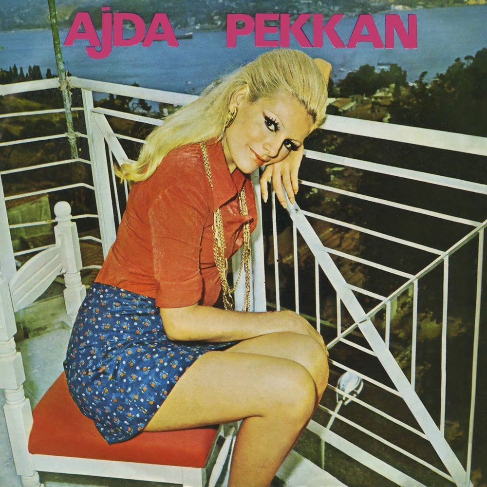 Durdurun Şu Zamanı cover