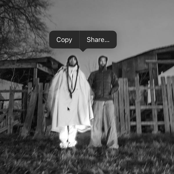 SCARING THE HOES cover