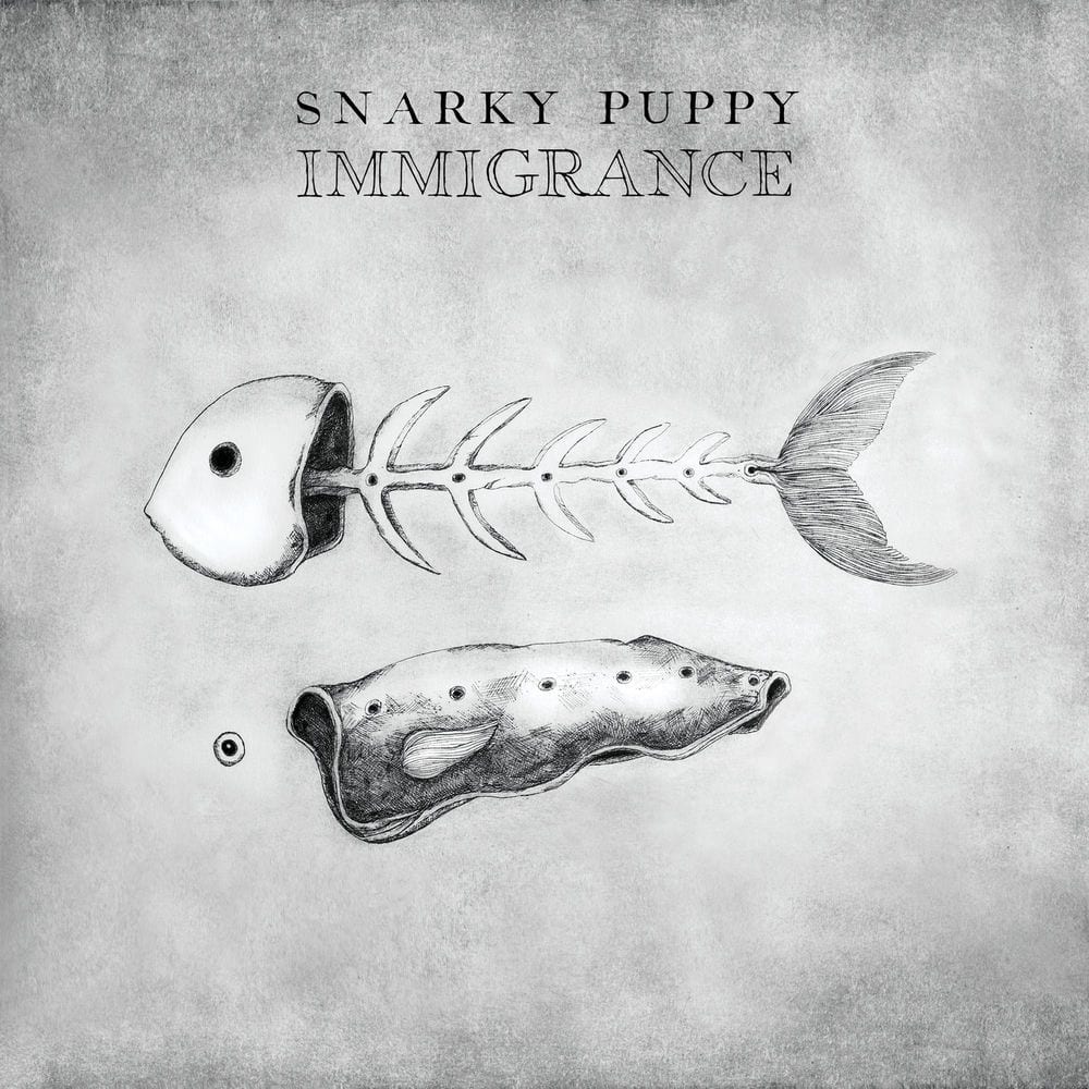 Immigrance cover