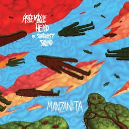 Manzanita album cover