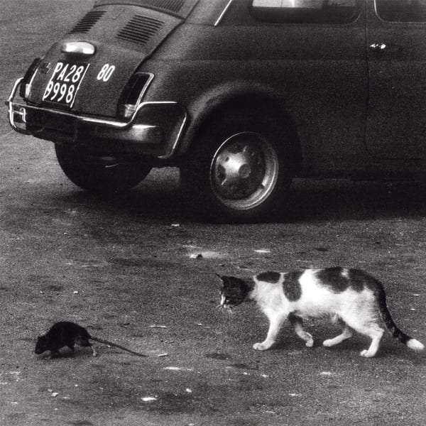 Palermo album cover