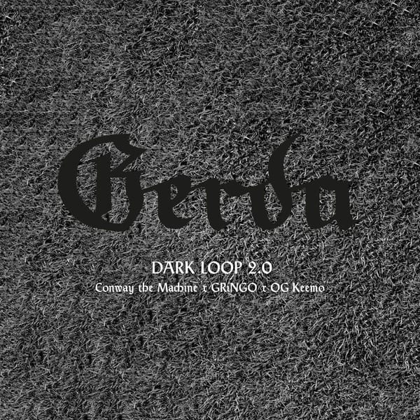 Dark Loop 2.0 album cover