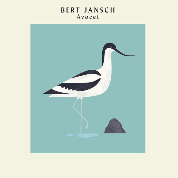 Avocet cover