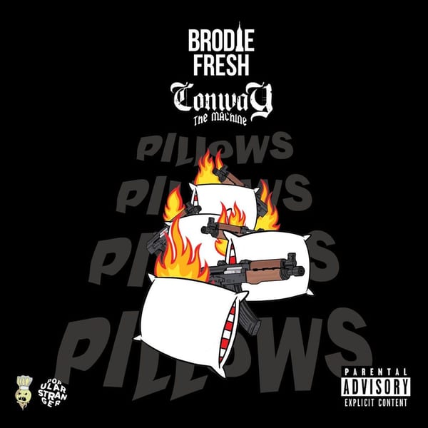 Pillows cover