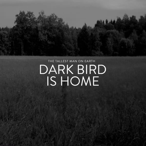 Dark Bird Is Home cover