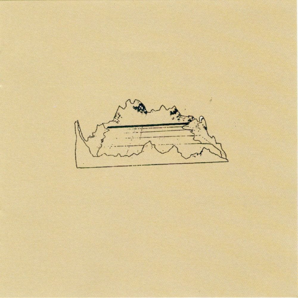 Veneer cover