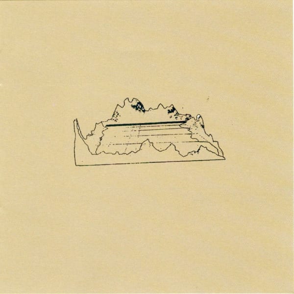 Veneer cover