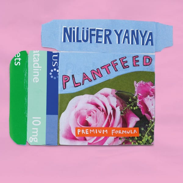 Plant Feed cover