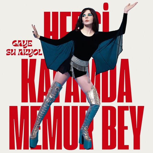 Hepsi Kafamda Memur Bey cover