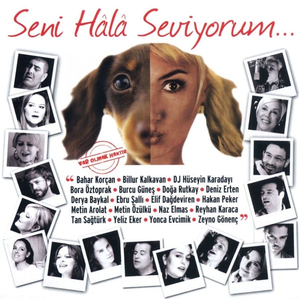 Seni Hala Seviyorum cover