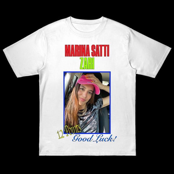 ZARI cover
