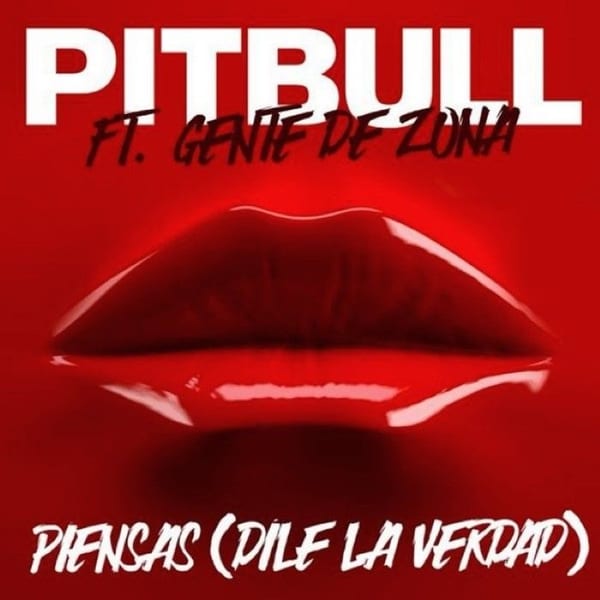 Piensas cover