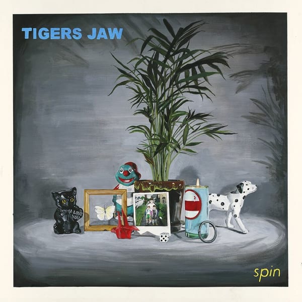 Spin cover