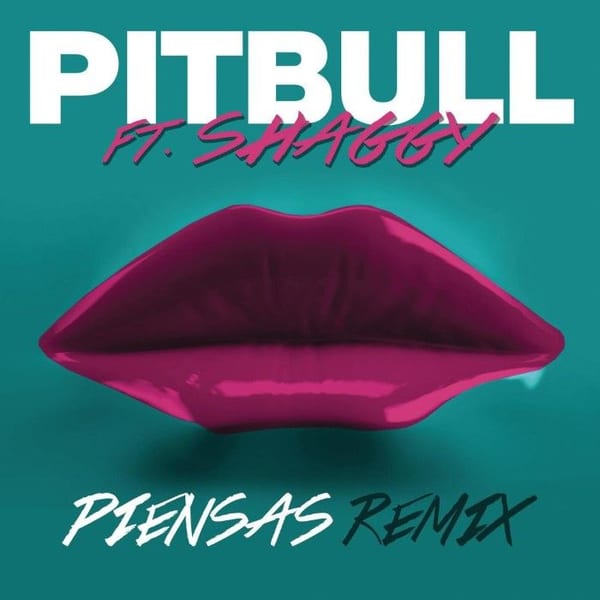 Piensas (Dile la verdad) (remix) album cover