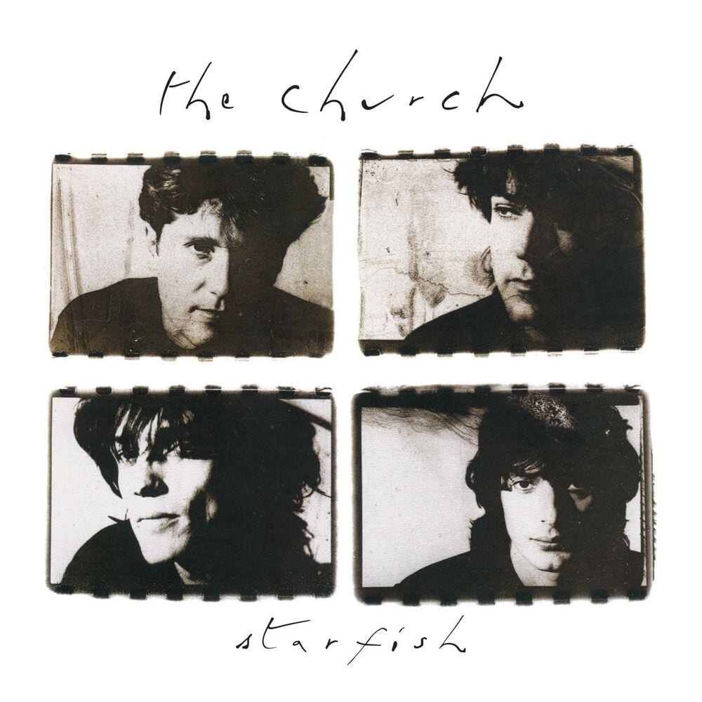 Starfish cover
