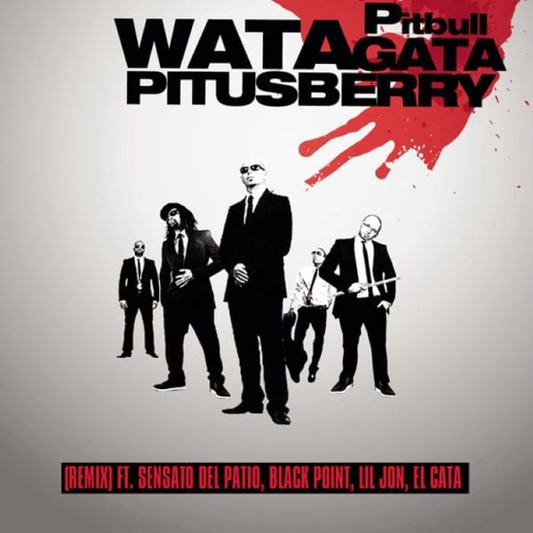 Watagatapitusberry (remix) album cover
