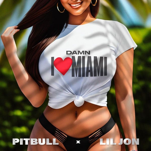Damn I Love Miami cover