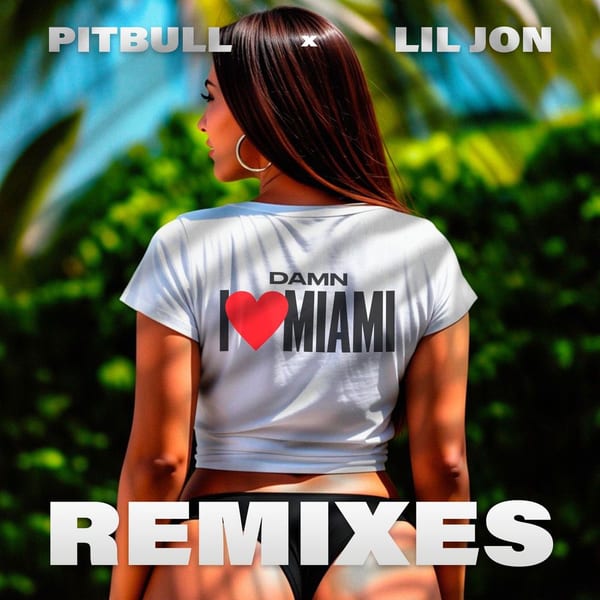 Damn I Love Miami (Remixes) album cover