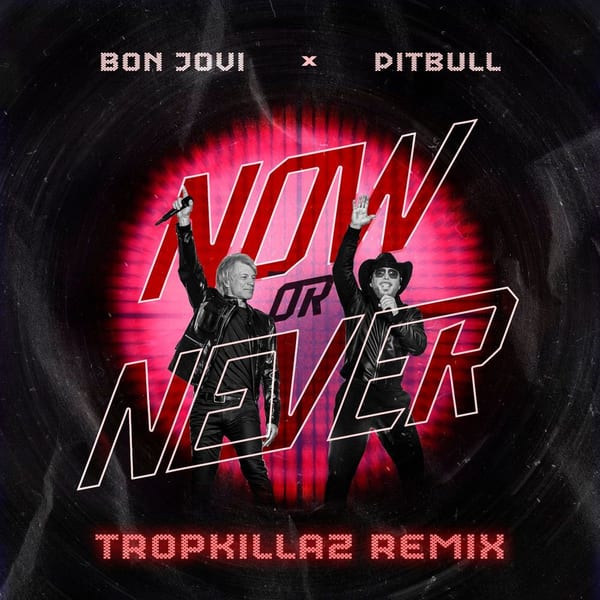 Now Or Never (TropKillaz Remix) album cover
