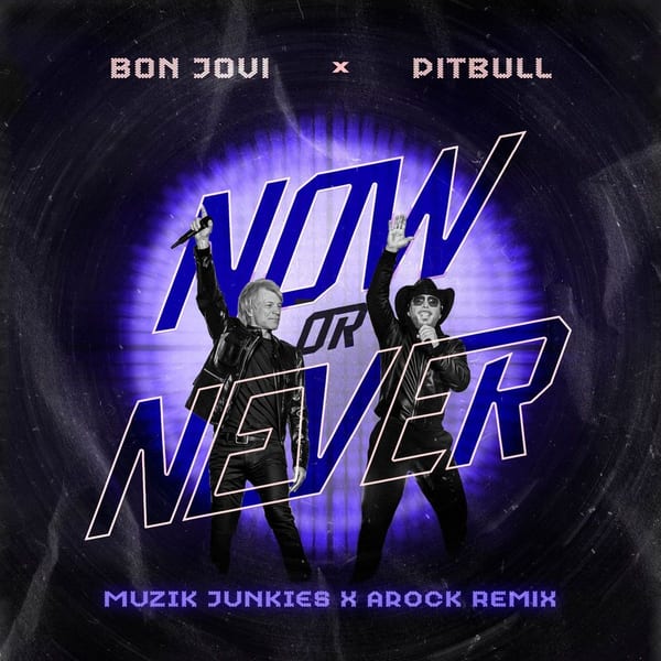 Now or Never (Muzik Junkies & AROCK Remix) cover