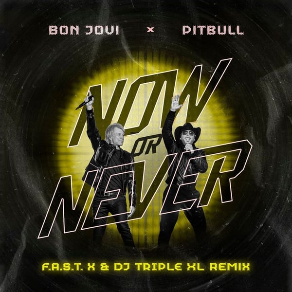 Now or Never (F.A.S.T x & DJ Triple XL Remix) cover